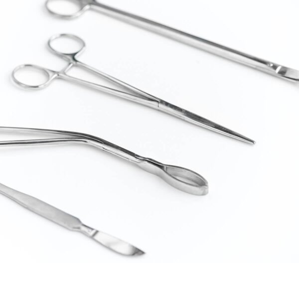 Stainless Steel Scissors - Image 2