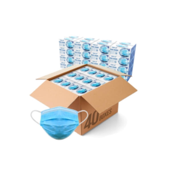 Wecolor 600 Pcs Disposable 3 Ply Earloop Face Masks